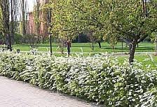 Hradobný park