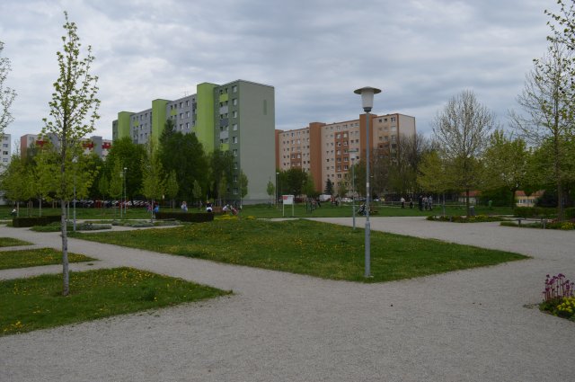 Street- Workoutový park Družba