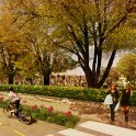 HUMANIZÁCIA CENTRUM MODRANKY I. - okolie cintorína