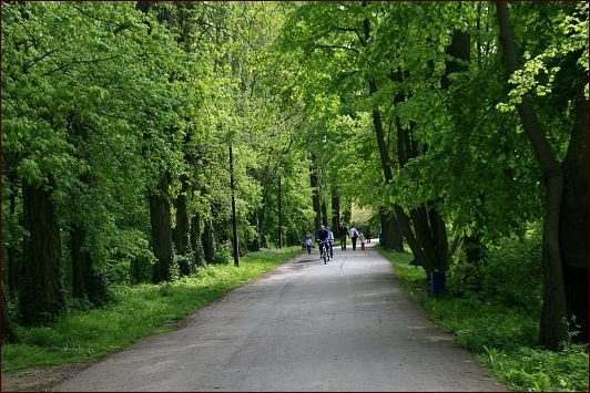 Revitalizacia parku Kamený mlyn