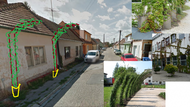 Ozelenenie ulíc rodinných domov bez zelene